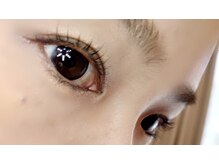 プラン アピ(plan api)/立ち上げカール