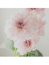 アイラビューティ まつげ 中目黒(ISLA BEAUTY)&nbsp;SATO eyelist