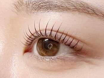 アイラッシュプラン リノ(eyelash plan RINO)の写真/【阪急高槻市駅から1分★】まつげパーマ専門店による高持続でうるツヤ束感まつ毛パーマをご提供♪