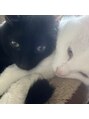 フフラ(fufla) うちの愛猫です！黒と白の猫ちゃんを2匹飼っています！癒し！
