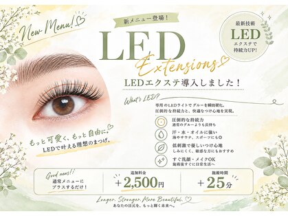ライル(RILE)の写真