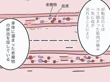 養生堂整体院/瞑眩反応(好転反応)は何ですか？