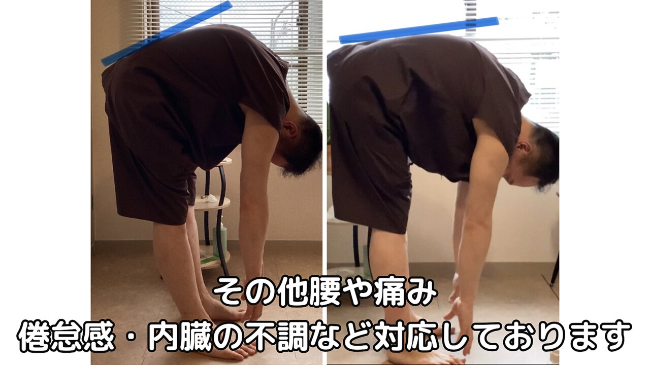 整体鍼灸医療美容家のための 院の規模が倍増する人脈ポートフォリオ戦略DVD 整体鍼灸医療美容家のための 院の規模が倍増する人脈ポートフォリオ
