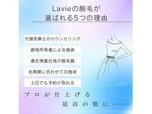 サロン ド ラヴィ(salon de Lavie)の雰囲気（毛にアプローチするだけでない！出せる肌作りを！）