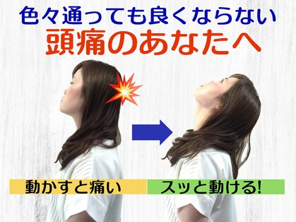 ニコ(nico)の写真