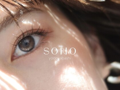 ソノ ヨドヤバシ(SONO yodoyabashi)の写真