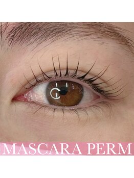 プリモアイラッシュ(Primo Eyelash)/メーテルパーマ