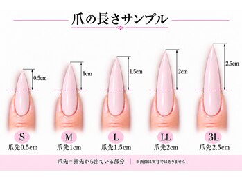 シンデレラネイル(CINDERELLA NAIL)/爪の長さ〈見本〉