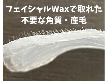 フォーチューン/フェイシャルワックス