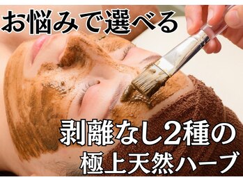 アネモネ 心斎橋院