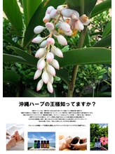アロマリラクゼーションサロン すぅ～(zzz...)/