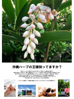 アロマリラクゼーションサロン すぅ~(zzz...)/