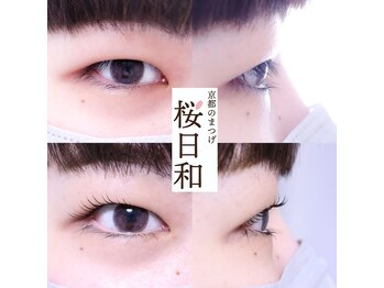 京都のまつげ 桜日和/まつげパーマ/ラッシュリフト