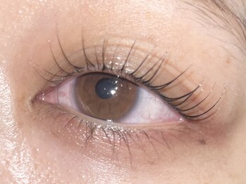 コボアイラッシュ(COVO.eyelash)/まつ毛美容液