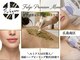 フルジェ(Fulge)の写真