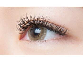 ビューティーサロン ココ多治見店(Beauty salon COCO)/フラットプラス160set(320本)