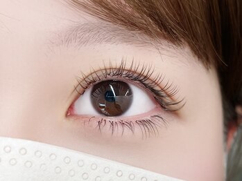 リプリ(RePuli)/ダブルフラット80束