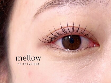 メロウ(mellow)の写真