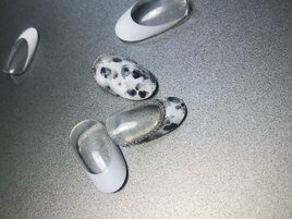 ハンド / ダルメシアン