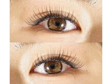 リノ(Lino)/シングル150本