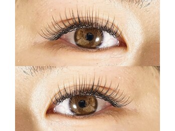 リノ(Lino)/シングル150本