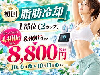 ボディシェイプ カナウ(BodySape Kanau)の写真/今だけ脂肪冷却がお得!!