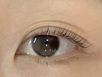 メメ(MEME)/まつ毛パーマ/ラッシュリフト