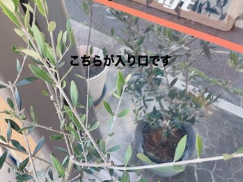 ナチュール(nature)/こちらが入り口です！