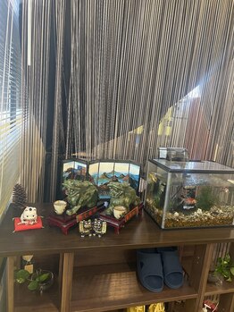 パンダてもみ本舗/可愛い金魚もお待ちしてます♪