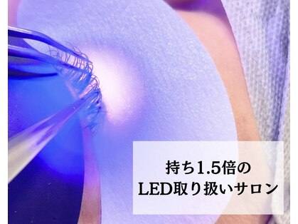 ラフォクシー(La.Foxy)の写真