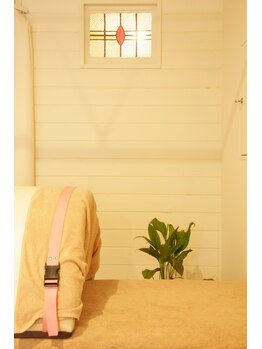 フラミンゴ(flamingo)/遠赤外線ドーム