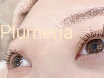 プルメリア(Plumeria)の写真/豊富なデザインでモテ可愛なキュートな目元に◎丁寧なカウンセリングであなたに合ったデザインを提供♪