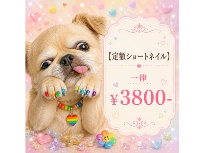 サイヨウスタジオ(彩叶STUDIO)の写真