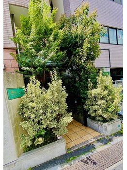 エミレ(emire)/サロン入り口