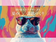ビーエックス(.BX)