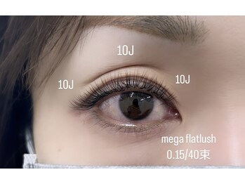 アトリエ ボノ(BONO)/メガフラットラッシュ40束