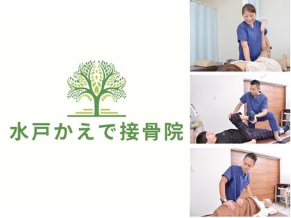水戸かえで接骨院の写真