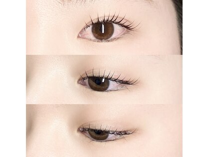デン オブ アイラッシュ(Den of eyelash)の写真