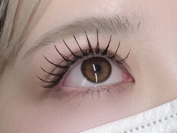 ステラ(Stella)/フラットラッシュ