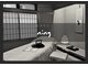 ニン(ning)の写真
