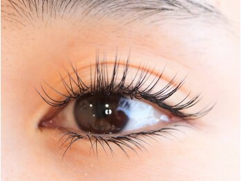 ジョリレーヌ(Jolie Reine)/シングルエクステ上下