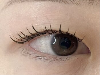 メメ(MEME)/フラットラッシュ120本