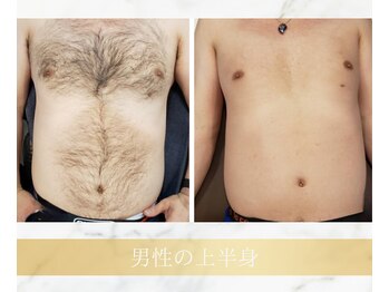 アンド エヌ(&n)/◆男性の上半身◆