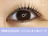 《45日以内10%OFF》ハリコシまつ毛パーマ[アイシャンプー＆美容液付] 