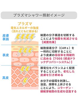 ハウピア 烏丸(Haupia)/【ニキビ菌・常在菌を殺菌】