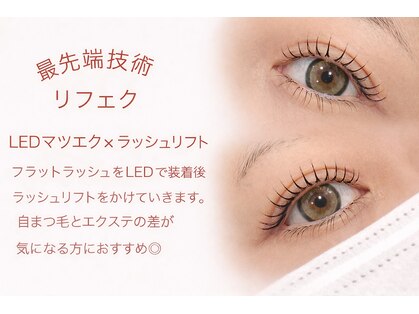 アイヴィー(ivy)の写真