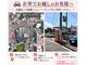 ティーツリー(tea tree)の写真
