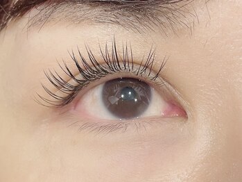 エーアイ 浅草橋(Ai)/フラットラッシュ