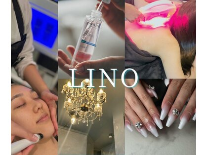 リノ(Lino)の写真