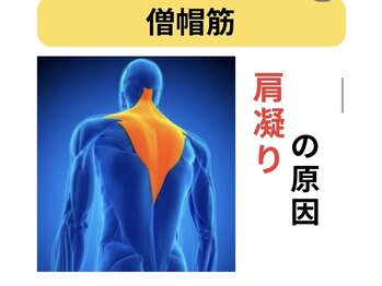 カワル整体 長嶺院/肩こりの原因